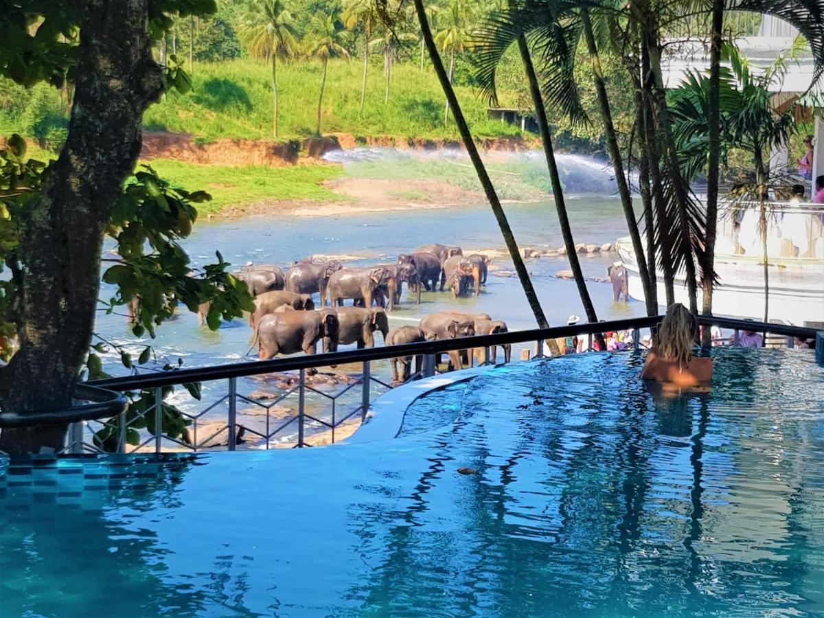 Hotel Elephant Park "Grand Royal Pinnalanda" Pinnawala  Exterior foto